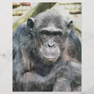 PROSPECTUS 21,6 CM X 24,94 CM CHIMPANZÉS