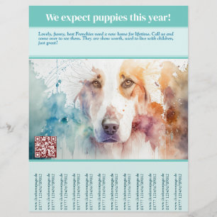 Prospectus 21,6 Cm X 24,94 Cm Chiots à vendre