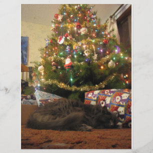 Prospectus 21,6 Cm X 24,94 Cm Christmas Cat