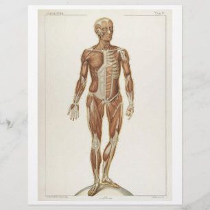 Prospectus 21,6 Cm X 24,94 Cm Circulaire antérieure