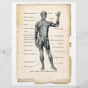 Prospectus 21,6 Cm X 24,94 Cm Circulaire antérieure