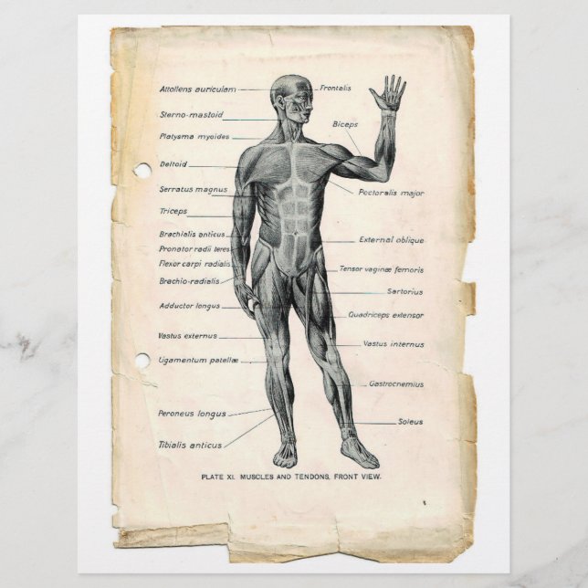 Prospectus 21,6 Cm X 24,94 Cm Circulaire antérieure (Devant)