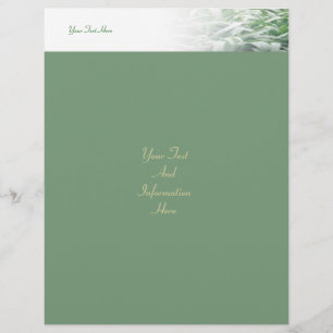 Prospectus 21,6 Cm X 24,94 Cm Circulaire de pelouse