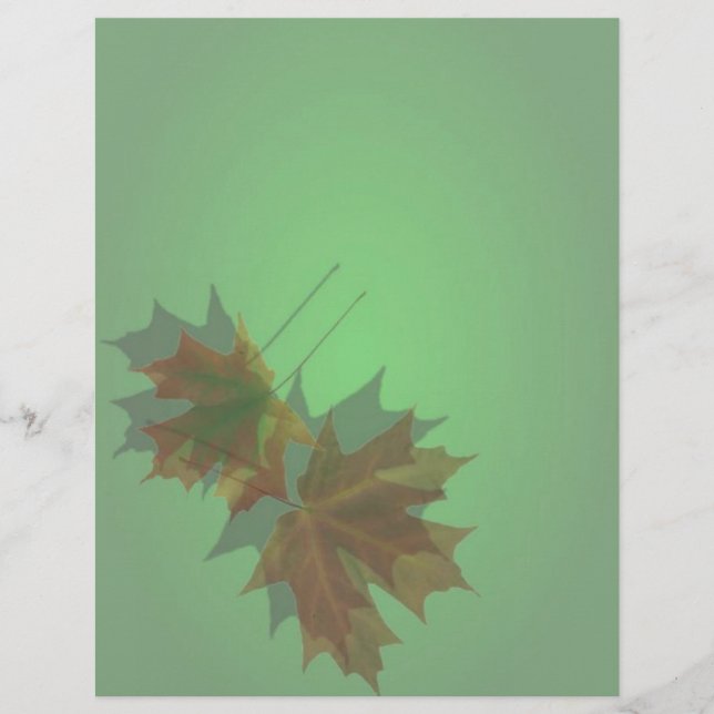 Prospectus 21,6 Cm X 24,94 Cm Circulaire Feuille de l'érable (Devant)