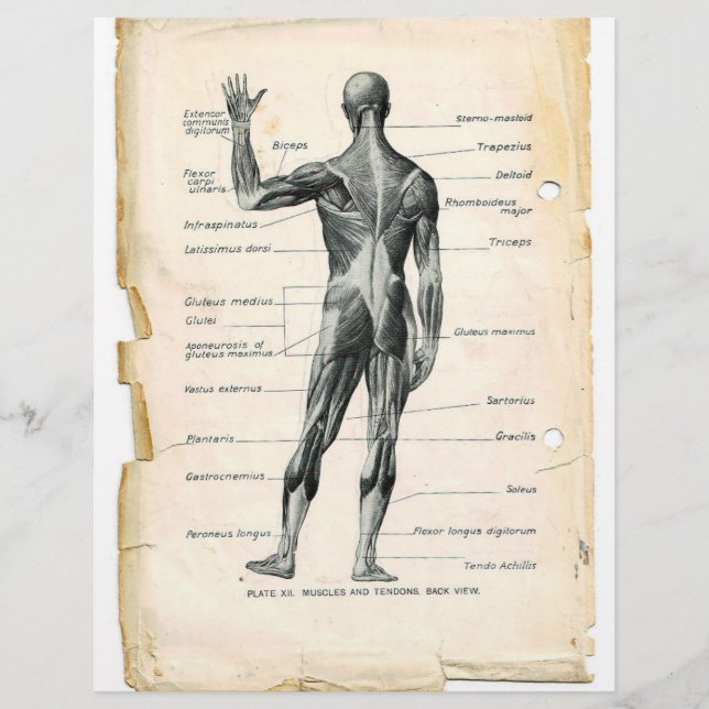 Prospectus 21,6 Cm X 24,94 Cm Circulaire postérieur (Devant)