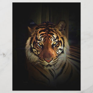 Prospectus 21,6 Cm X 24,94 Cm Circulaire Tiger