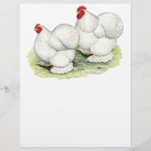 Prospectus 21,6 Cm X 24,94 Cm Cochin : Bantams blancs