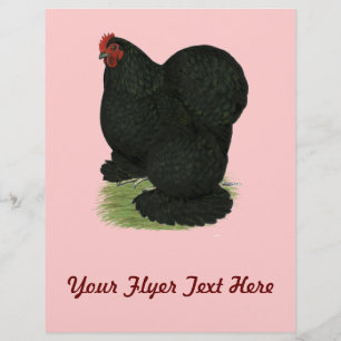 Prospectus 21,6 Cm X 24,94 Cm Cochin : Poule Noire