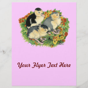 Prospectus 21,6 Cm X 24,94 Cm Colliers de Jardins Fleurs