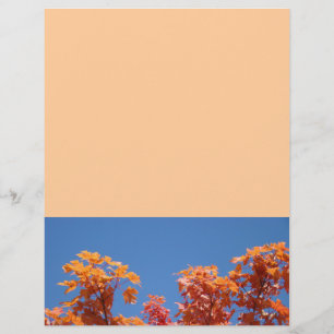 Prospectus 21,6 Cm X 24,94 Cm Concepteur de dépliants Feuilles d'arbre colorées 