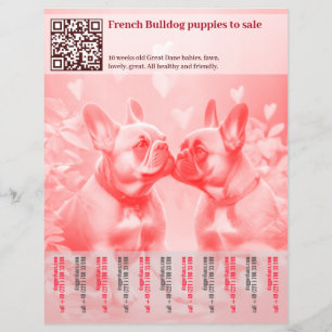 Prospectus 21,6 Cm X 24,94 Cm Conception de Flyer pour la Vente de Chiots Bouled