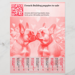 Prospectus 21,6 Cm X 24,94 Cm Conception de flyer pour la vente de chiots French