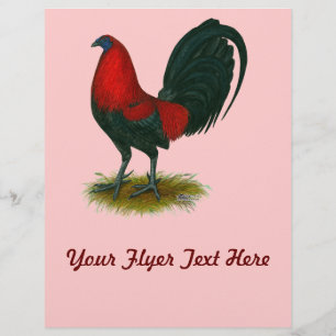 Prospectus 21,6 Cm X 24,94 Cm Coq de combat américain : Brun Rouge
