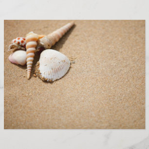 Prospectus 21,6 Cm X 24,94 Cm Coquillages sur la plage