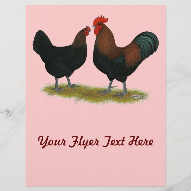 Prospectus 21,6 Cm X 24,94 Cm Cuivre noir des Marans (Devant)