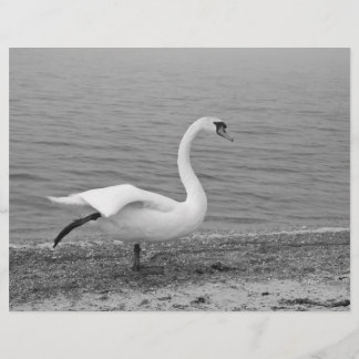 Prospectus 21,6 Cm X 24,94 Cm Cygne dansant
