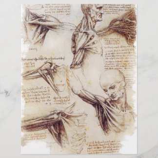 Prospectus 21,6 Cm X 24,94 Cm da Vinci — Croquis de l'épaule