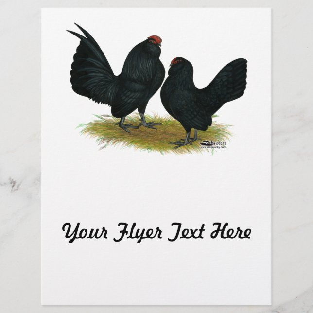 Prospectus 21,6 Cm X 24,94 Cm D'Anvers Black Bantams (Devant)