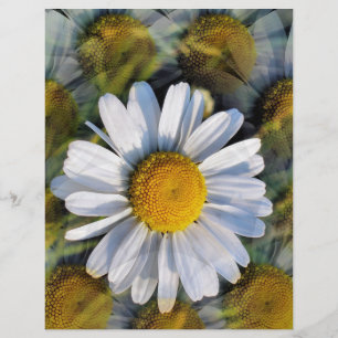 PROSPECTUS 21,6 CM X 24,94 CM DATES