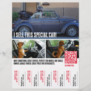Prospectus 21,6 Cm X 24,94 Cm Déchirure de larmes Flyer de vente de voiture
