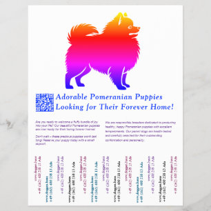 Prospectus 21,6 Cm X 24,94 Cm Dessin de chiot Pomeranian plein de couleurs