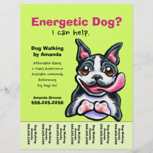 Prospectus 21,6 Cm X 24,94 Cm Dog Walker Walking Boston Tear Sheet