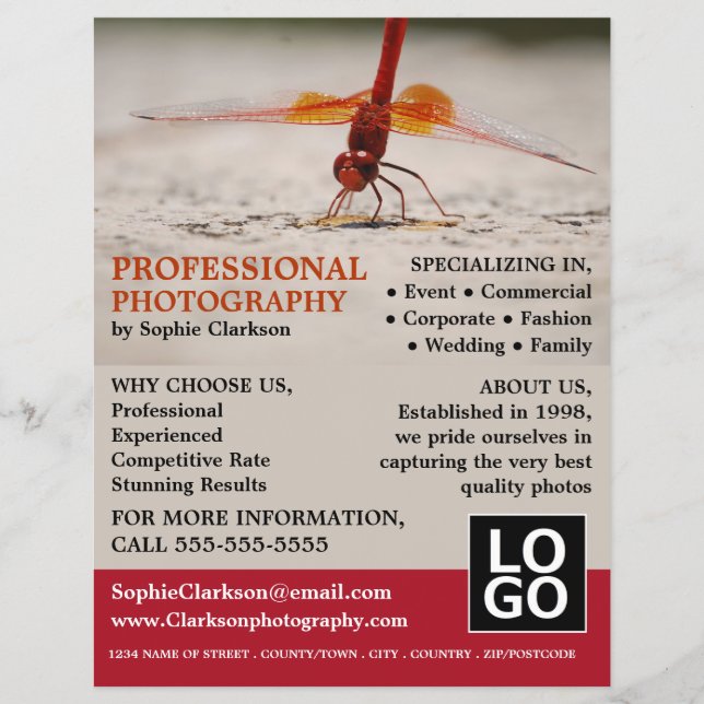 Prospectus 21,6 Cm X 24,94 Cm Dragonfly rouge, photographie, location de photogr (Devant)