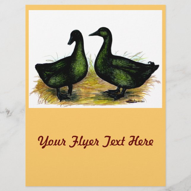 Prospectus 21,6 Cm X 24,94 Cm Ducks : Cayuga Pair (Devant)