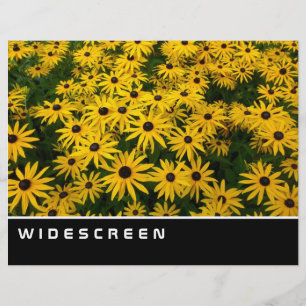 Prospectus 21,6 Cm X 24,94 Cm Ecran large - Des marguerites aux yeux noirs
