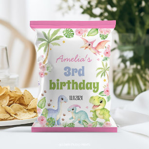 Prospectus 21,6 Cm X 24,94 Cm Emballage de sac de chips d'anniversaire de dinosa