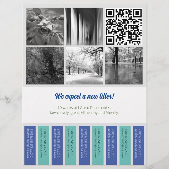 Prospectus 21,6 Cm X 24,94 Cm Engrenage Flyer Chiot vendant bleu vert (Devant)