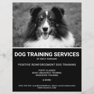 Prospectus 21,6 Cm X 24,94 Cm Entraîneur de chiens photo de Shetland Sheepdog no