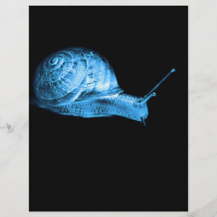 Prospectus 21,6 Cm X 24,94 Cm Escargot néon
