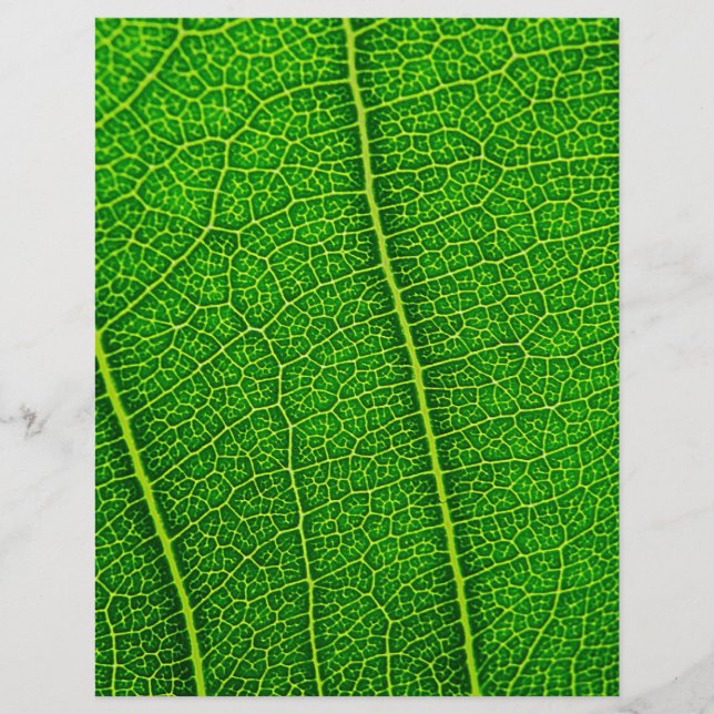 Prospectus 21,6 Cm X 24,94 Cm Feuille (Devant)