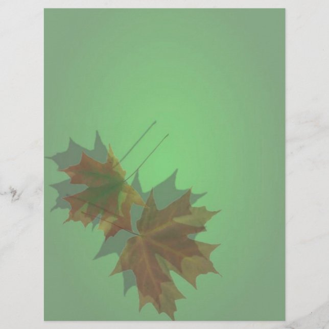 Prospectus 21,6 Cm X 24,94 Cm Feuille de congé d'érable (Devant)
