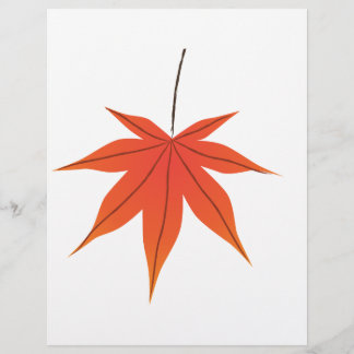 Prospectus 21,6 Cm X 24,94 Cm Feuille d'érable
