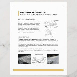 Prospectus 21,6 Cm X 24,94 Cm Feuille ROF (canine + équine)