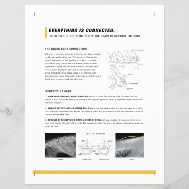 Prospectus 21,6 Cm X 24,94 Cm Feuille ROF (canine + équine) (Devant)