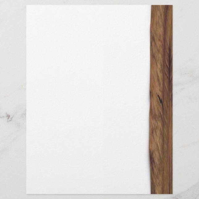 Prospectus 21,6 Cm X 24,94 Cm Feuille sèche (Devant)