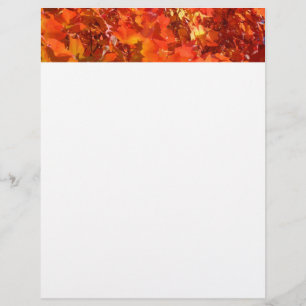 Prospectus 21,6 Cm X 24,94 Cm Feuilles d'automne colorées Flyers papier Ajoutez 