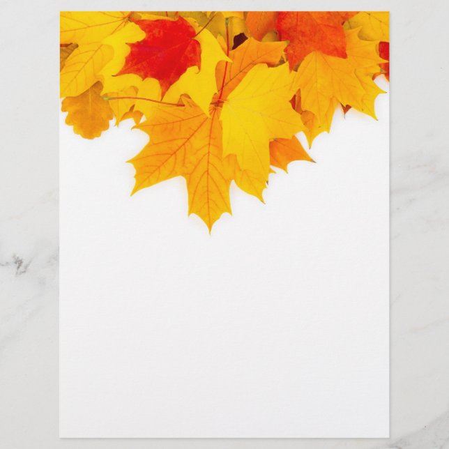Prospectus 21,6 Cm X 24,94 Cm Feuilles d'érable (Devant)