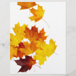 Prospectus 21,6 Cm X 24,94 Cm Feuilles d'érable