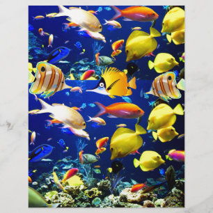 Prospectus 21,6 Cm X 24,94 Cm fish sea