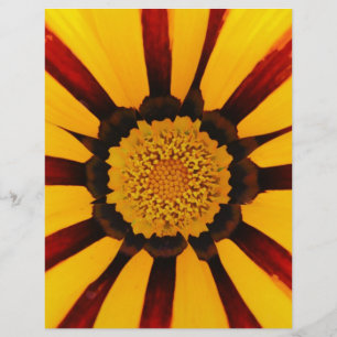 Prospectus 21,6 Cm X 24,94 Cm Fleur Botanique Trésor Radieux Photo