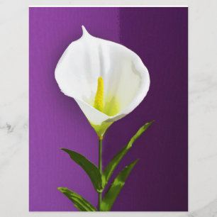 Prospectus 21,6 Cm X 24,94 Cm Fleur de Cala Lily