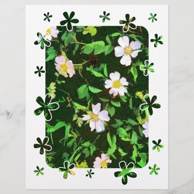 PROSPECTUS 21,6 CM X 24,94 CM FLEUR SAUVAGE (Devant)