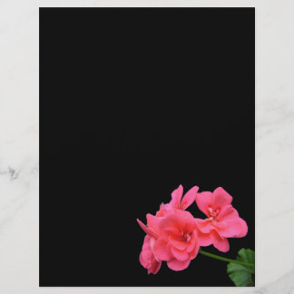 Prospectus 21,6 Cm X 24,94 Cm Fleurs sur arrière - plan noir