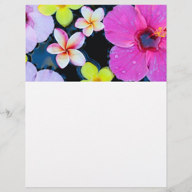 Prospectus 21,6 Cm X 24,94 Cm Fleurs tropicales (Devant)