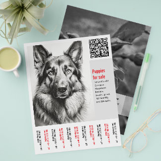 Prospectus 21,6 Cm X 24,94 Cm Flyer allemand Shepherd Chien