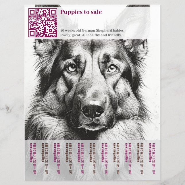 Prospectus 21,6 Cm X 24,94 Cm Flyer allemand Shepherd Chien (Devant)